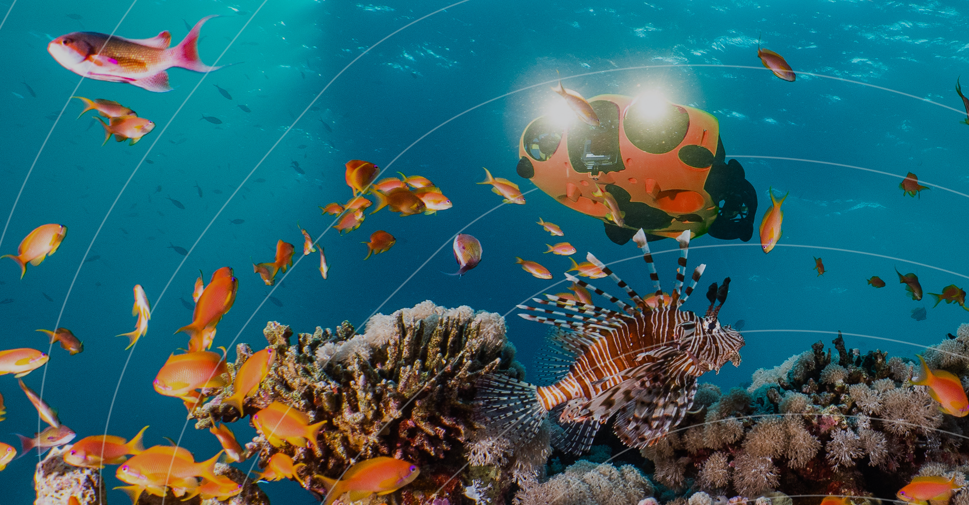 Inspection écosystème aquatique - Avec le drone sous-marin Seasam-Notilo Plus